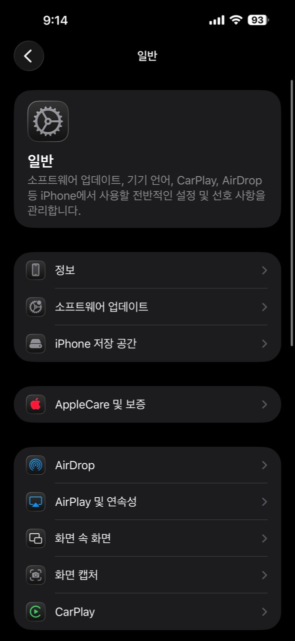 일반 메뉴의 iPhone 저장 공간 항목